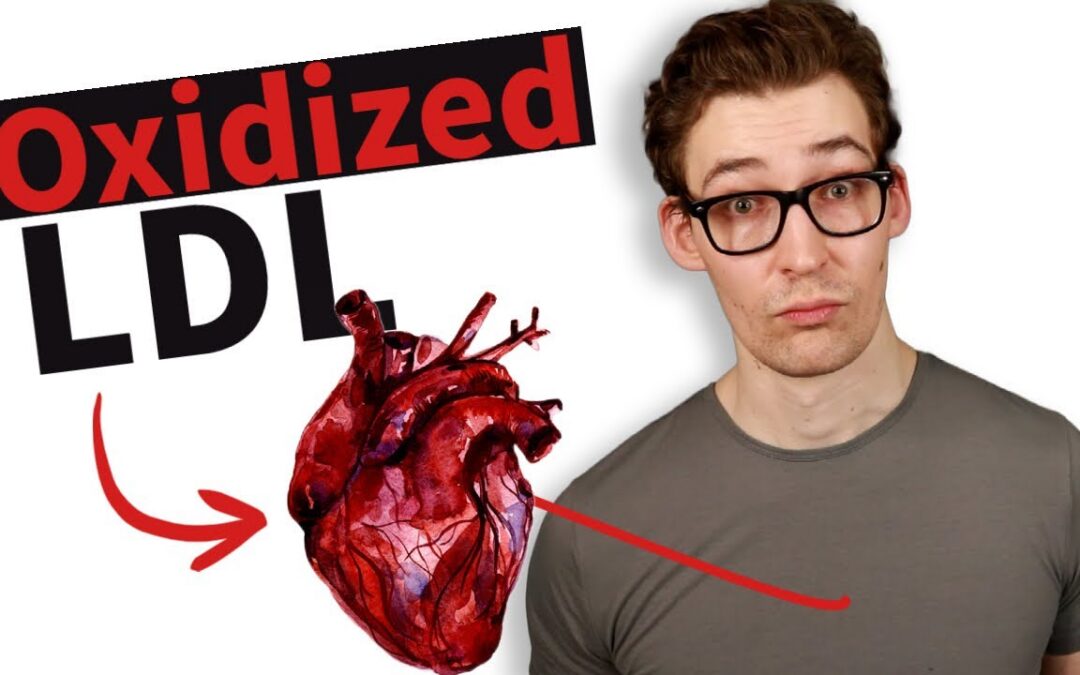 Why Oxidized LDL Is the Heart Risk Your Blood Test Never Shows